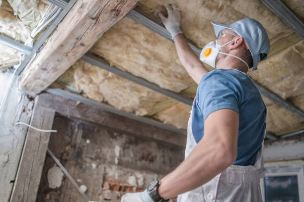 Best DIY Insulation Kits and Guidance in Ivins, UT