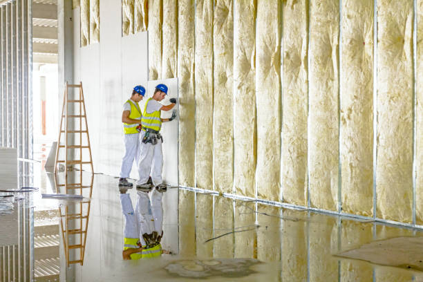 Best Energy Efficiency Insulation in Ivins, UT